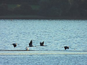 Traumwetter am Stausee