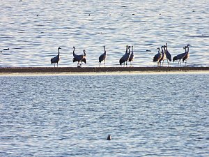 Traumwetter am Stausee