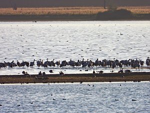 Traumwetter am Stausee