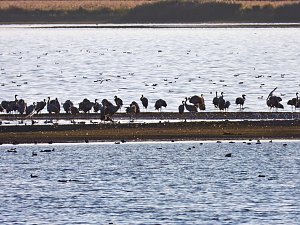 Traumwetter am Stausee