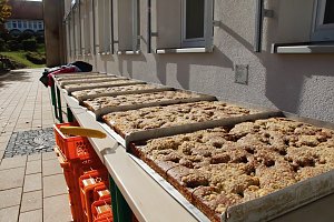 Es "Schillert" in Bleicherode - der Umbau des Gymnasiums wurde heute offiziell beendet