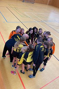 Die NSV Handballer legten einen guten Saisoneinstand hin