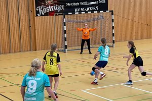 Die NSV Handballer legten einen guten Saisoneinstand hin