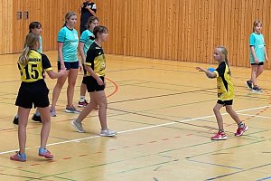 Die NSV Handballer legten einen guten Saisoneinstand hin