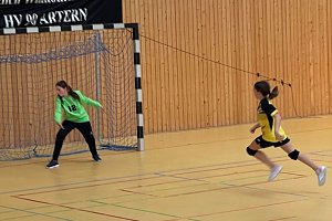 Die NSV Handballer legten einen guten Saisoneinstand hin