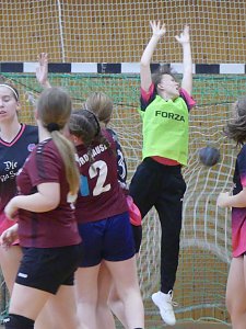 Die NSV Handballer legten einen guten Saisoneinstand hin
