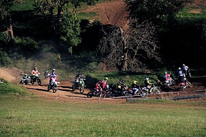 Motorcross in Hamma