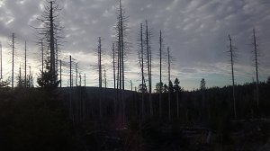 Unterwegs im Harz