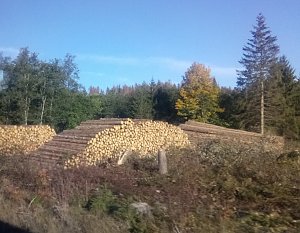 Unterwegs im Harz