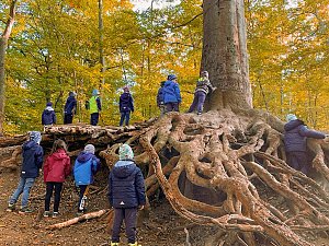 Herbstwoche im Domschl&ouml;sschen