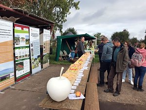 Natura 2000-Stationsfest S&uuml;dharz/Kyffh&auml;user