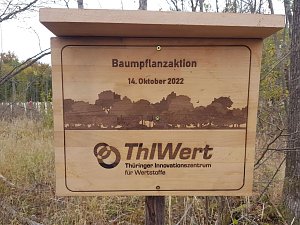 Zukunft pflanzen 
