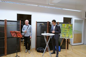 Vernissae von Mario Molnare