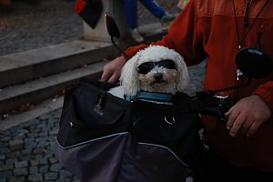 Demonstrationszug durch die Nordh&auml;user Innenstadt