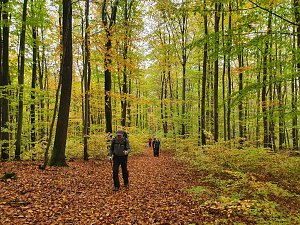 43. Wanderung von Nordhausen nach Halle