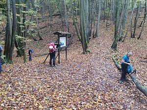 43. Wanderung von Nordhausen nach Halle