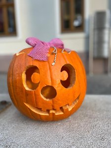 Jeder einzelne K&uuml;rbis ist ein kleines Kunstwerk