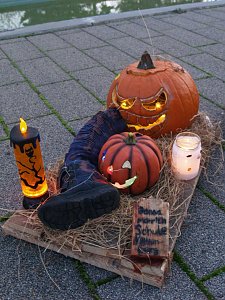 K&uuml;rbisfest in Klettenberg