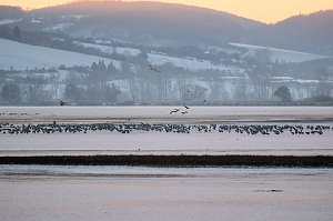 Peter Blei unterwegs im Schnee