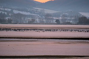 Peter Blei unterwegs im Schnee