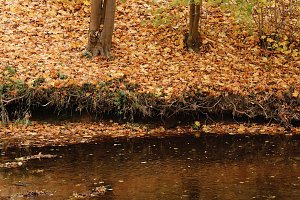 Wo ist all das Wasser hin? - Trockenheit und Niedrigwasser haben das Jahr bestimmt