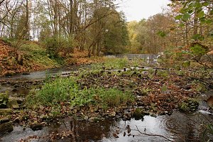 Wo ist all das Wasser hin? - Trockenheit und Niedrigwasser haben das Jahr bestimmt