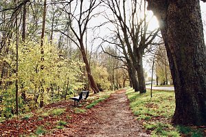 Wo ist all das Wasser hin? - Trockenheit und Niedrigwasser haben das Jahr bestimmt