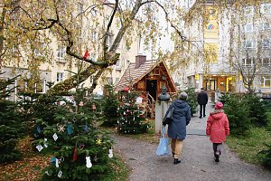 Der Nordh&auml;user Weihnachtsmarkt wurde heute er&ouml;ffnet