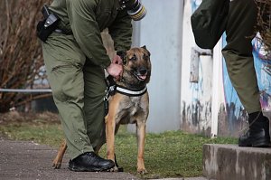 Einsatz&uuml;bung