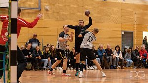 Handball-Ergebnisdienst