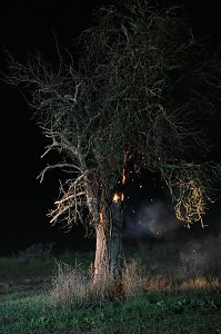Brennender Baum bei Holzengel