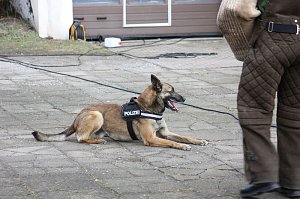 Einsatz&uuml;bung