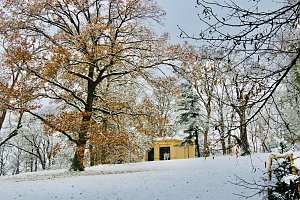 Advent im Park