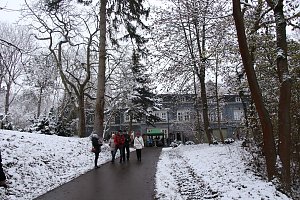 Advent im Park
