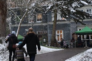 Advent im Park