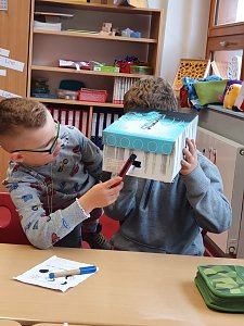 Projekte an der Grundschule Werther