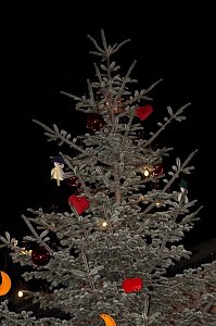 Der Bad Langensalzaer Weihnachtsmarkt ist er&ouml;ffnet