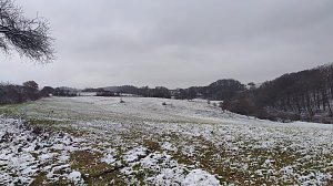 Impressionen am dritten Advent
