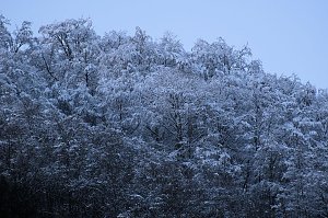 Eisige K&auml;lte im Brandesbachtal