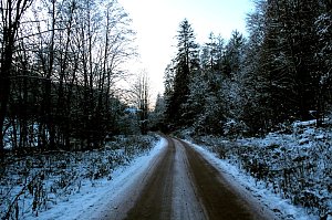 Eisige K&auml;lte im Brandesbachtal