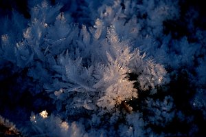 Naturwunder in der Windl&uuml;cke