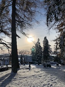 Advent in Hohegei&szlig;