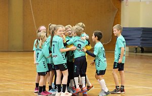 Die NSV-Handballer im Einsatz