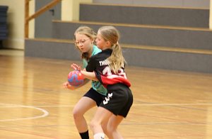 Die NSV-Handballer im Einsatz