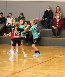 Die NSV-Handballer im Einsatz