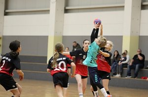 Die NSV-Handballer im Einsatz