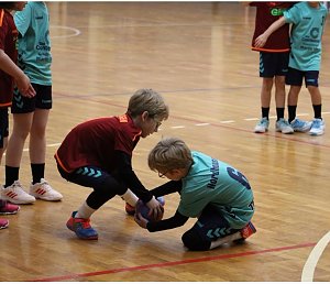 Die NSV-Handballer im Einsatz