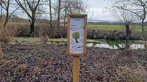 Demoliert, abgerissen - Vandalismus pur