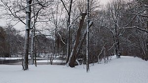 Sonntagmorgen im Stadtpark