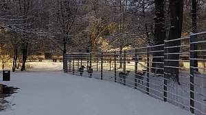 Sonntagmorgen im Stadtpark